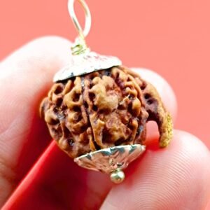 Ganesh Rudraksha