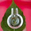 Sphatik Shivling Original Crystal Shivling For Puja