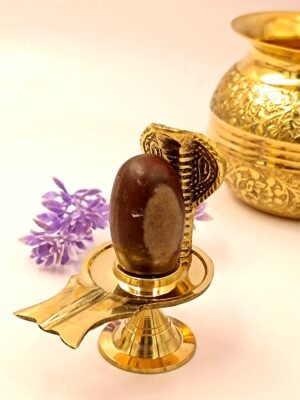 Narmadeshwar Shivling For Home Puja