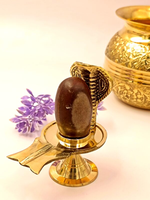Narmadeshwar Shivling For Home Puja