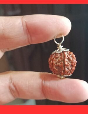 3 Mukhi Rudraksha For Mars