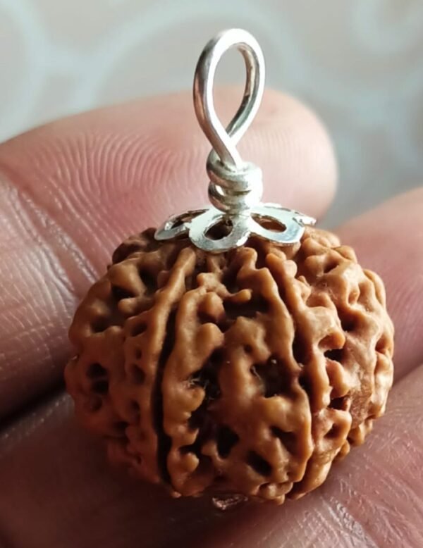 4 Mukhi Rudraksha For Mercury Planet - Image 2