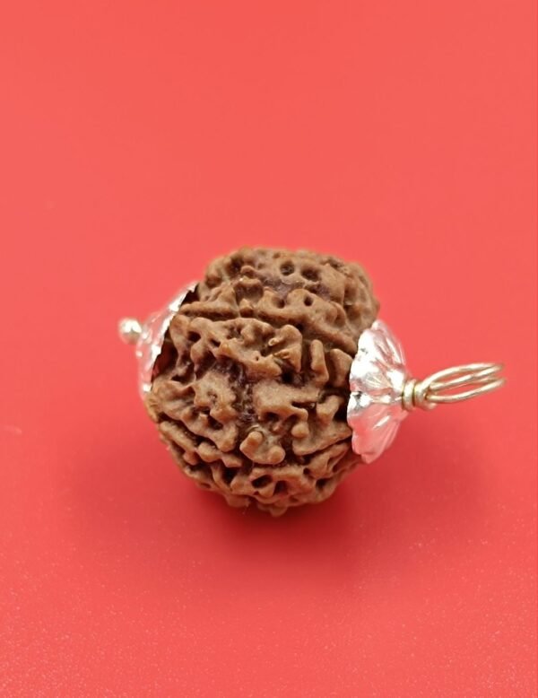 8 Mukhi Rudraksha For Rahu