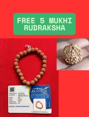5 Mukhi Rudraksha Bracelet