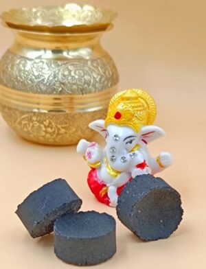 Cow Dung Koyla Kit Dhuni For Home & Office - 30 Piece Set