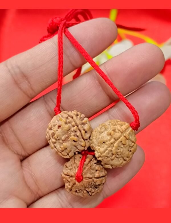 Saraswati Kawach For Sharp Mind & Intelligence