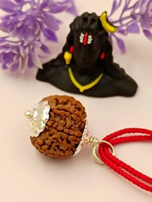11 Mukhi Rudraksha - 11 Face Nepali Rudraksha