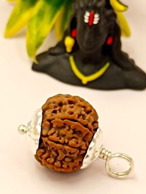 10 Mukhi Rudraksha - Ten Face Rudraksha