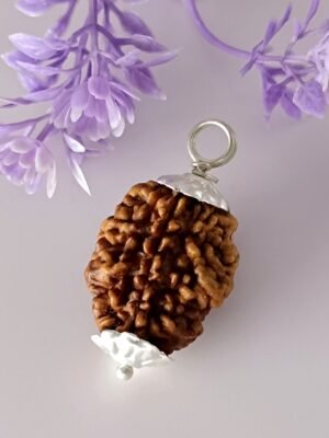 2 Mukhi Rudraksha For Moon Planet