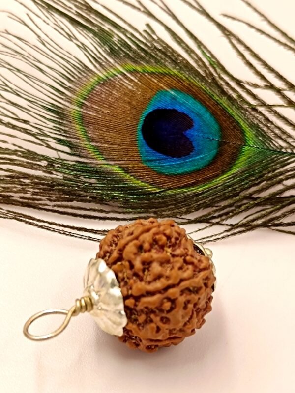 4 Mukhi Rudraksha For Mercury Planet