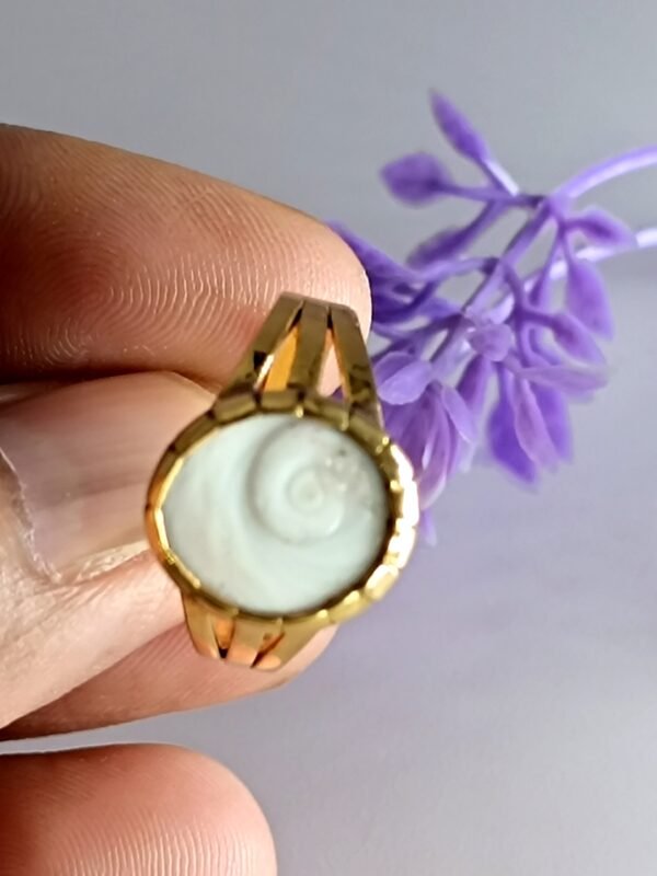 Gomti Chakra For Wealth Prosperity & Protection - Image 3