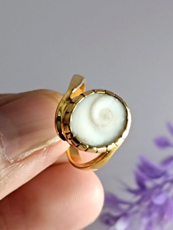 Gomti Chakra For Wealth Prosperity & Protection - Image 2