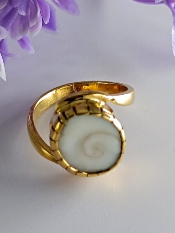 Gomti Chakra For Wealth Prosperity & Protection - Image 4