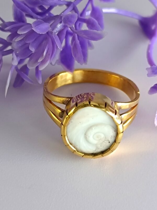 Gomti Chakra For Wealth Prosperity & Protection - Image 5
